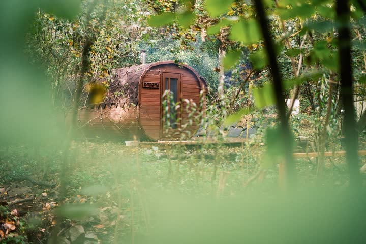 Sudová sauna schovaná mezi stromy