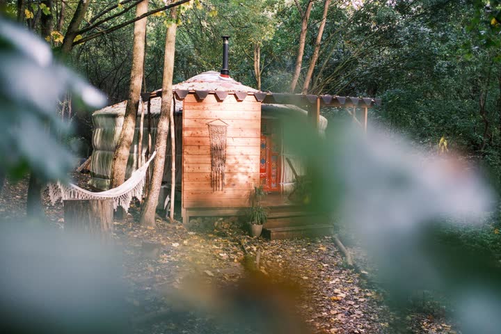 Jurta a sauna mezi stromy